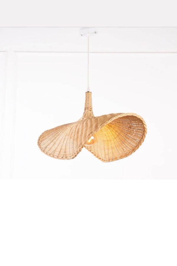 An Elegant Light Fixture BL41